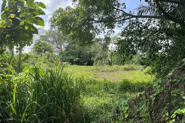 Kampung Bukit Lanchung