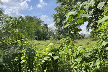 Kampung Bukit Lanchung