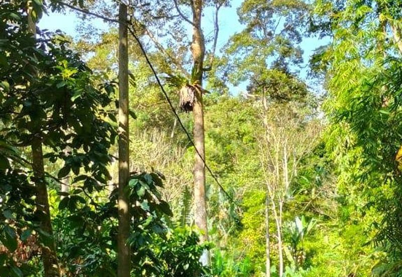 Potential Recreational Area Development Land Kemensah, Selangor For Sale