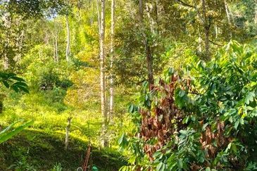 Potential Recreational Area Development Land Kemensah, Selangor For Sale