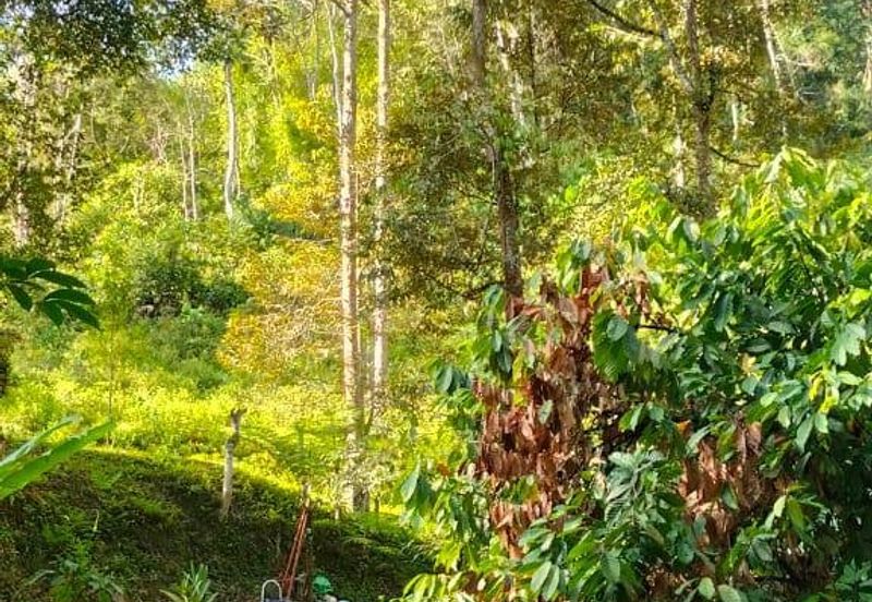 Potential Recreational Area Development Land Kemensah, Selangor For Sale