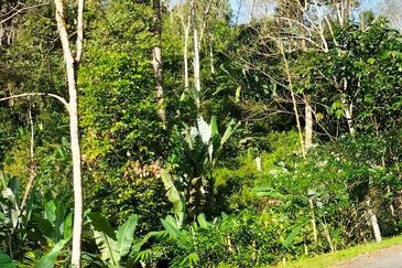 Potential Recreational Area Development Land Kemensah, Selangor For Sale