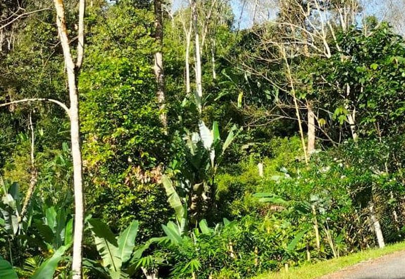 Potential Recreational Area Development Land Kemensah, Selangor For Sale