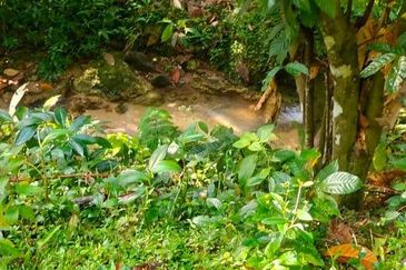 Potential Recreational Area Development Land Kemensah, Selangor For Sale