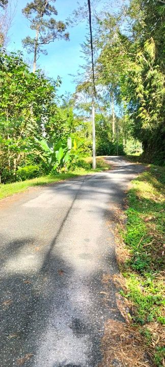 Potential Recreational Area Development Land Kemensah, Selangor For Sale, Selangor, Ulu Kelang