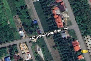 Tasek Gelugor Agricultural Land