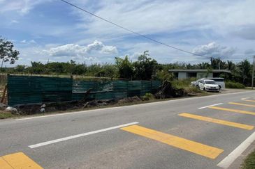 Tasek Gelugor Agricultural Land