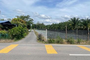 Tasek Gelugor Agricultural Land