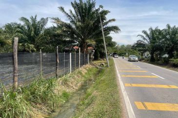 Tasek Gelugor Agricultural Land