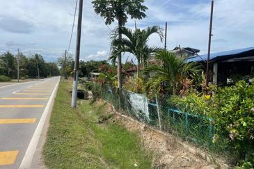 Tasek Gelugor Agricultural Land