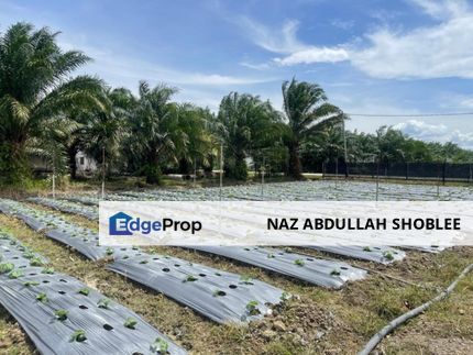 [FRONTING ROAD] Agriculture Land Tasek Gelugor, Seberang Perai Utara For Sale, Penang, Tasek Gelugor