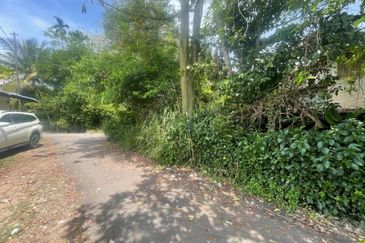 Tasek Gelugor Agricultural Land