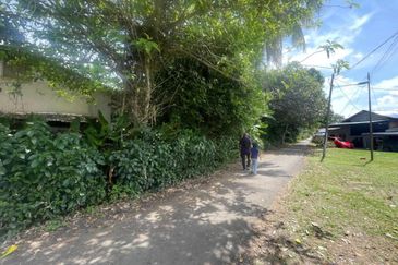 Tasek Gelugor Agricultural Land