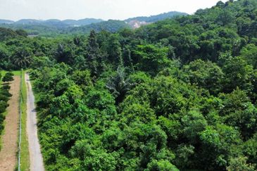 Taman Desa Jenderam Hilir