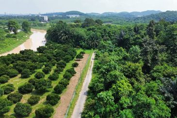 Taman Desa Jenderam Hilir