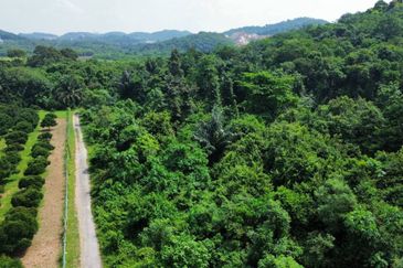Taman Desa Jenderam Hilir