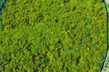 Taman Desa Jenderam Hilir