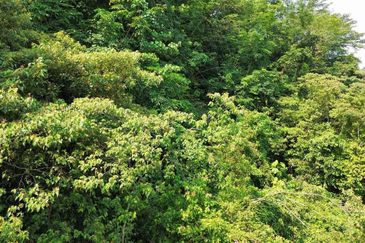 Taman Desa Jenderam Hilir