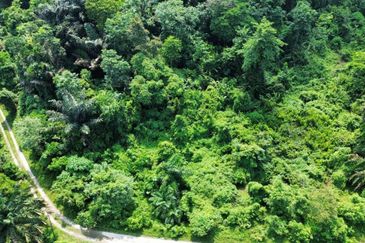 Taman Desa Jenderam Hilir