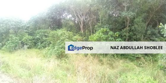 [FRONTING MAIN ROAD] Industrial Development Land Segamat, Johor For Sale, Johor, Segamat