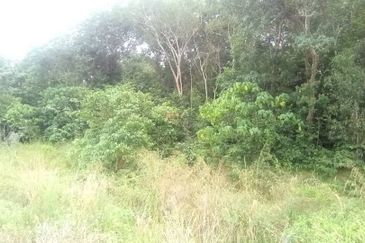[FRONTING MAIN ROAD] Industrial Development Land Segamat, Johor For Sale