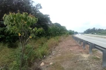 [FRONTING MAIN ROAD] Industrial Development Land Segamat, Johor For Sale