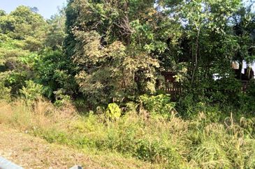 [FRONTING MAIN ROAD] Industrial Development Land Segamat, Johor For Sale
