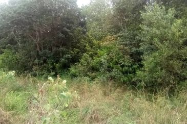 [FRONTING MAIN ROAD] Industrial Development Land Segamat, Johor For Sale