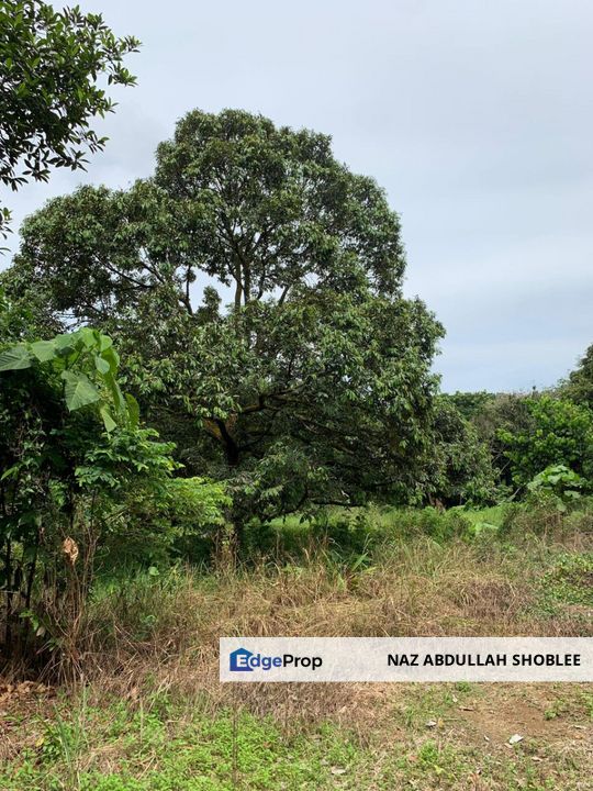 [NEXT TO HIGHWAY] Residential Development Land Labu, Negeri Sembilan For Sale, Negeri Sembilan, Seremban