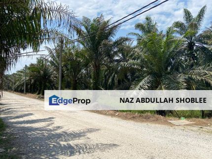 Solar Potential Development Land Teluk Intan, Perak For Sale, Perak, Teluk Intan