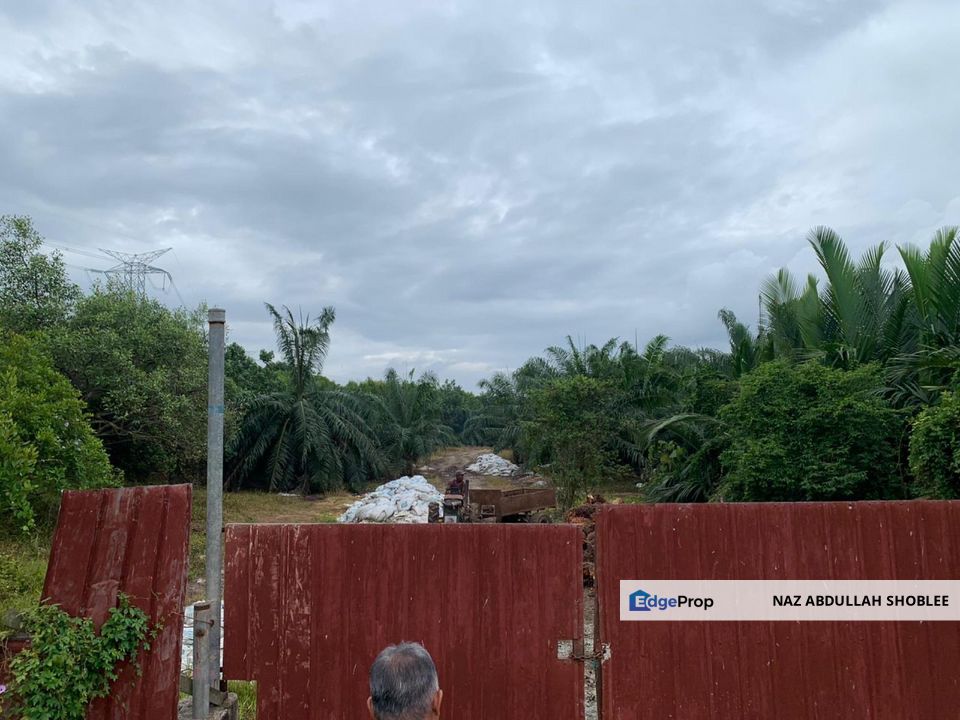 Palm Oil Plantation Pulau Carey, Selangor For Sale, Selangor, Kuala Langat