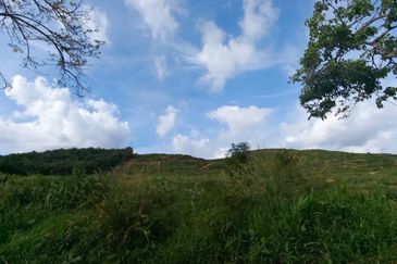 Residential Potential Development Land Jalan Padang Tembak, Kluang For Sale