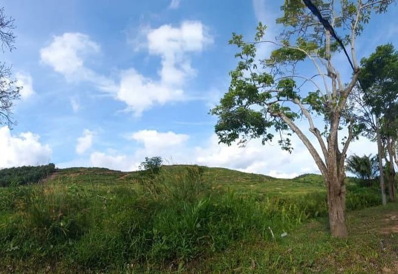 Residential Potential Development Land Jalan Padang Tembak, Kluang For Sale