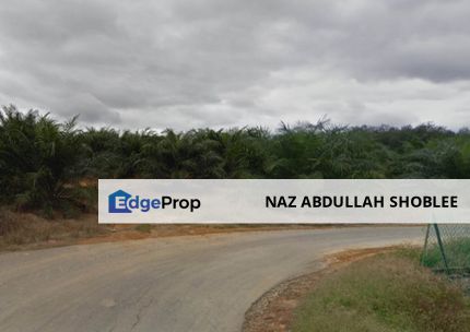 Palm Oil Plantation Land Alor Gajah, Melak For Sale, Melaka, Alor Gajah