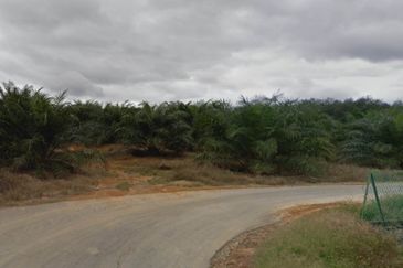 Palm Oil Plantation Land Alor Gajah, Melak For Sale