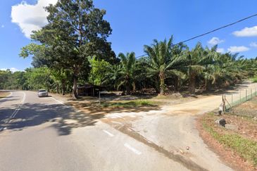 Palm Oil Plantation Land Alor Gajah, Melak For Sale