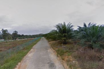 Palm Oil Plantation Land Alor Gajah, Melak For Sale