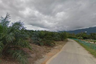 Palm Oil Plantation Land Alor Gajah, Melak For Sale