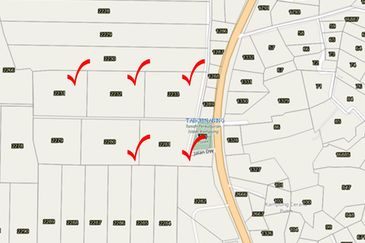 Palm Oil Plantation Land Alor Gajah, Melak For Sale