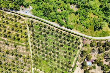 [NEAR NOTTINGHAM UNIVERSITY] Potential Development Land Semenyih, Selangor For Sale