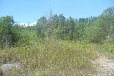 Mix Development Land Jalan Sg Lalang-Kg Pasir, Semenyih For Sale