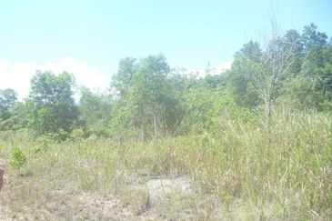 Mix Development Land Jalan Sg Lalang-Kg Pasir, Semenyih For Sale