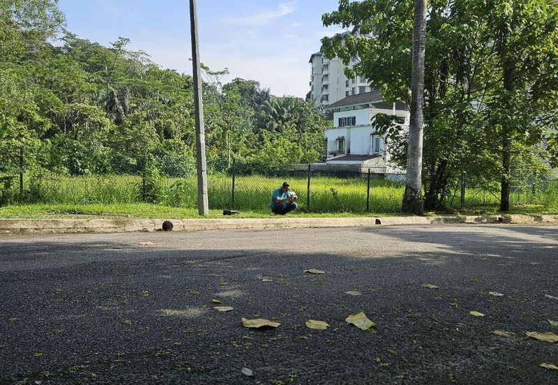 Damansara Heights (Bukit Damansara)