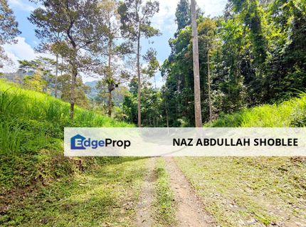 Resort Potential Development Land Janda Baik, Bentong, Pahang For Sale, Pahang, Bentong