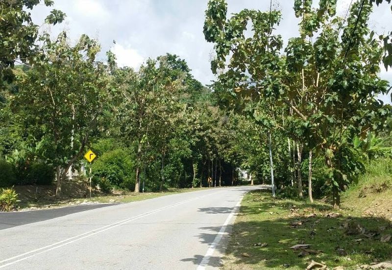 Tourism Potential Development Land Bukit Malut, Langkawi For Sale