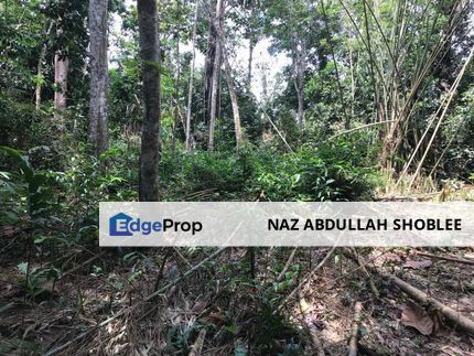 Campsite Potential Development Land Hulu Langat, Selangor For Sale, Selangor, Hulu Langat