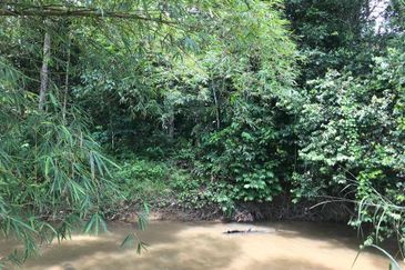 Campsite Potential Development Land Hulu Langat, Selangor For Sale