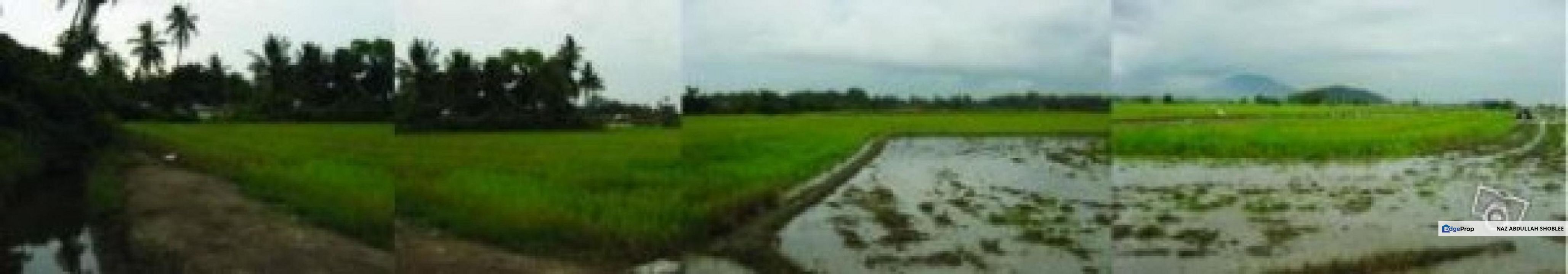 [FIRST GRADE LAND] Residential Potential Development Land Sungai Dua, Seberang Perai Tengah, Pulau Pinang For Sale, Penang, Seberang Perai