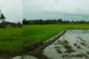 [FIRST GRADE LAND] Residential Potential Development Land Sungai Dua, Seberang Perai Tengah, Pulau Pinang For Sale