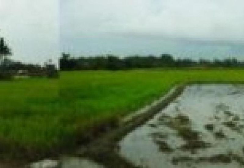 [FIRST GRADE LAND] Residential Potential Development Land Sungai Dua, Seberang Perai Tengah, Pulau Pinang For Sale